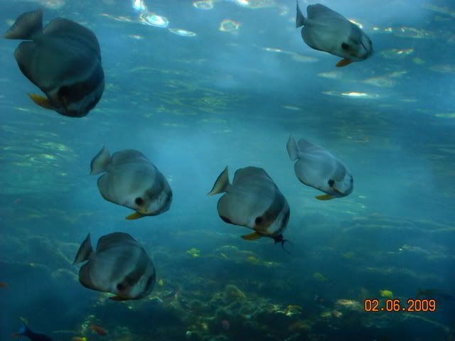 DSCN0165.jpg