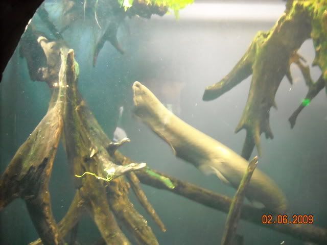 DSCN0133.jpg