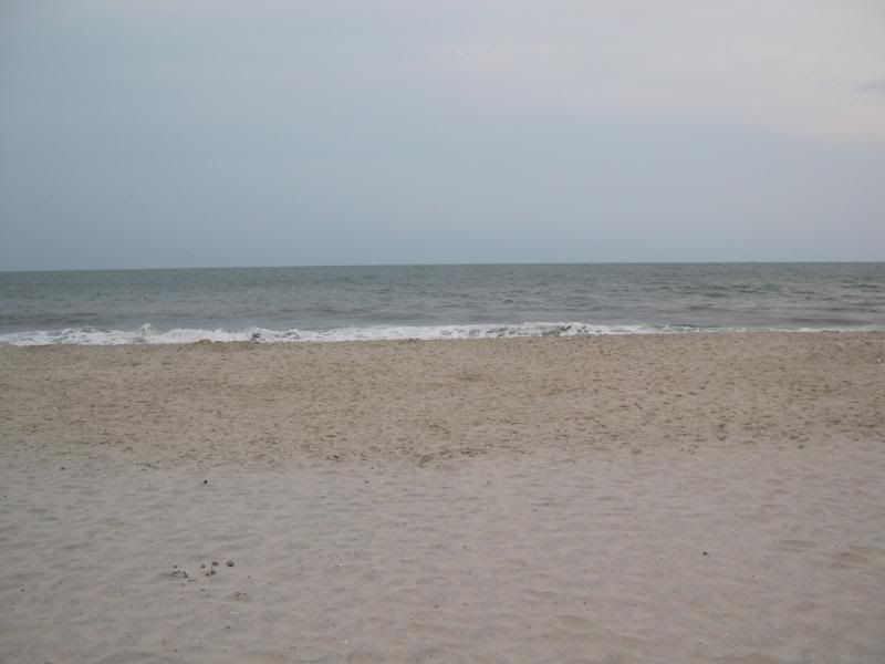 DSCN1716.jpg