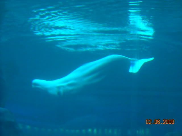 DSCN0111.jpg