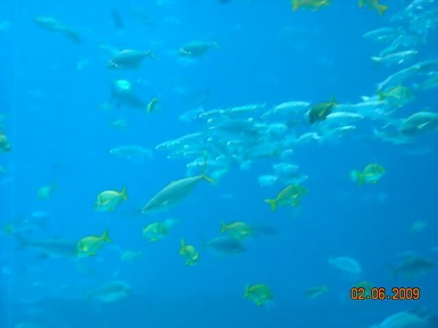 DSCN0103.jpg