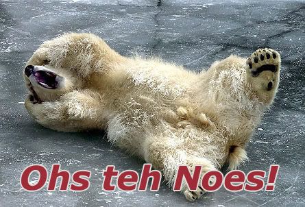 ohnobear.jpg