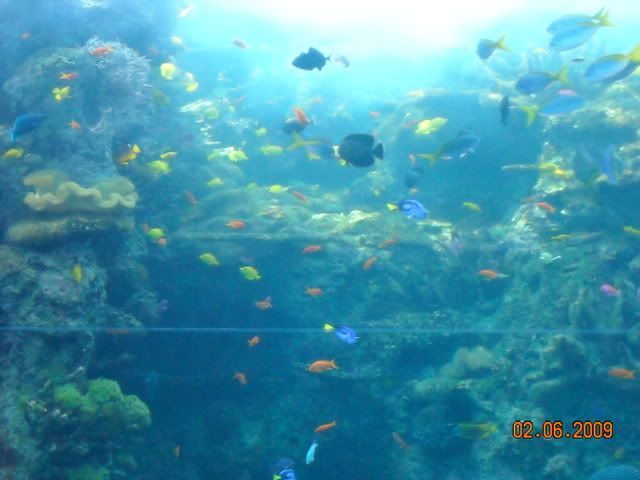 DSCN0163.jpg
