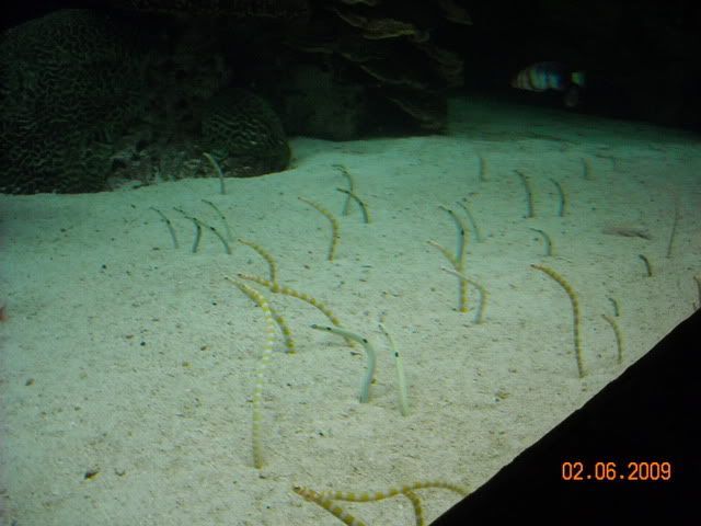 DSCN0149.jpg