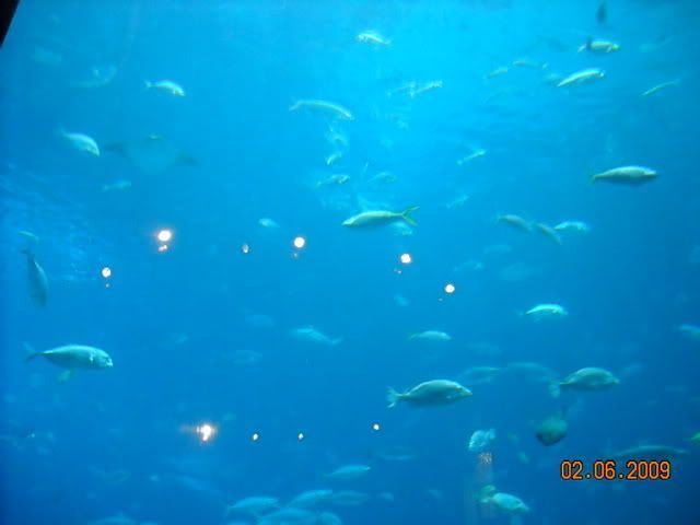 DSCN0089.jpg