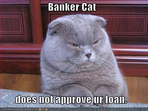 funny-pictures-banker-cat.jpg