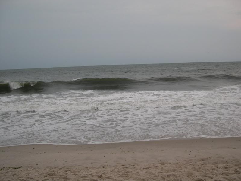 DSCN1718.jpg