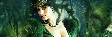 IntheJungle-1.png