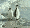 th55fdf0df8gm.gif