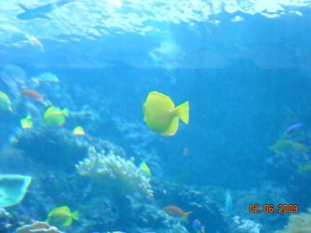 DSCN0176.jpg