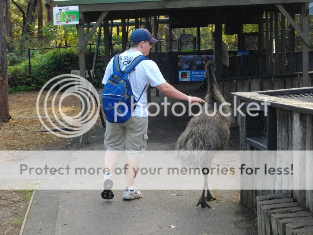 IMGP0475.jpg