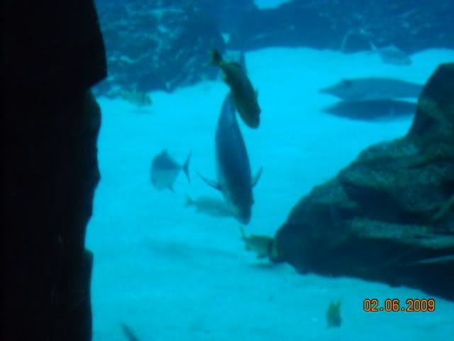 DSCN0099.jpg