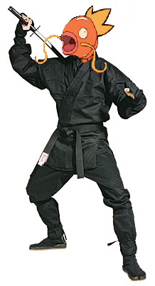 NinjaKarp.png