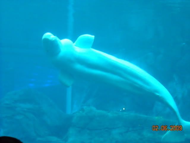DSCN0112.jpg