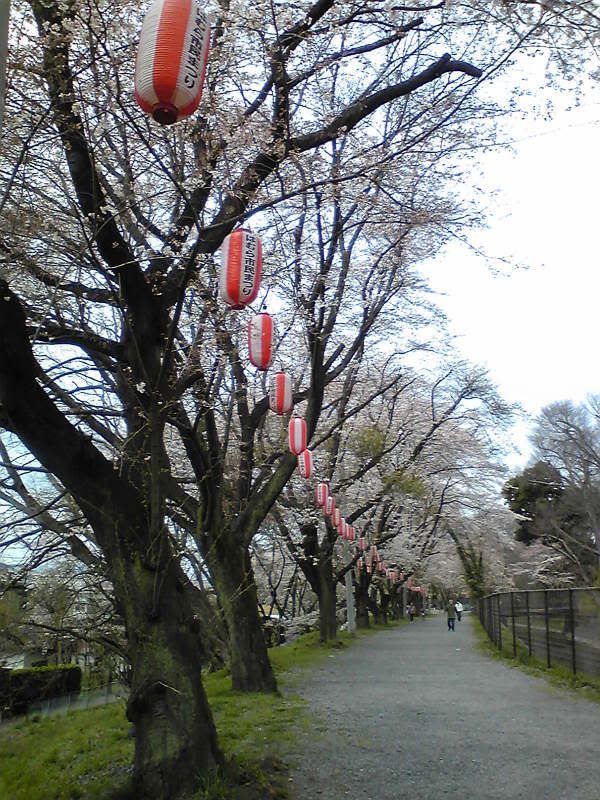 Image00400.jpg