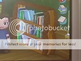 librarybookshelf.jpg